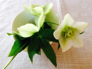 白い花とクリアな日々***_e0290872_15375447.jpg