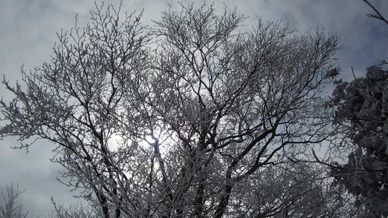 e0024081_20002818.jpg