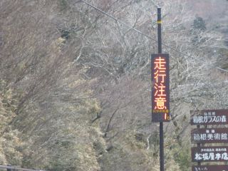 2014年3月15日 空也にマルコポーロ_b0098584_1511337.jpg