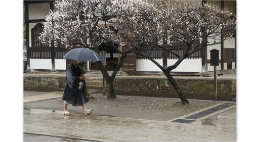雨の北鎌倉_b0188987_20563341.jpg