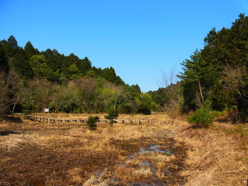 a0214490_18535277.jpg
