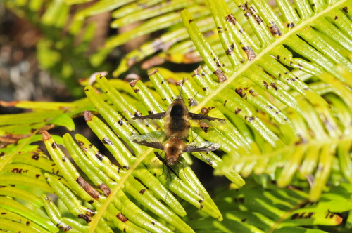 a0214490_19283520.jpg