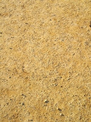 f0176196_16591178.jpg