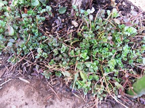 c0117898_21241786.jpg