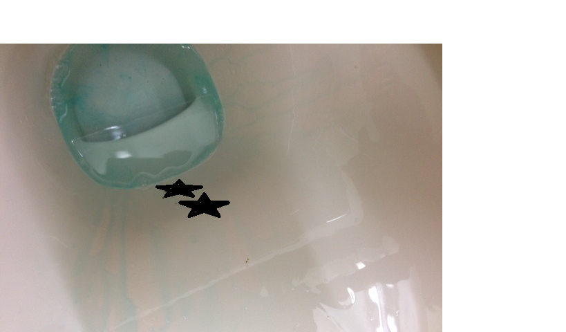 b0127002_164701.png