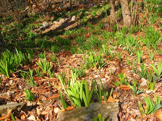 f0187402_22145934.jpg