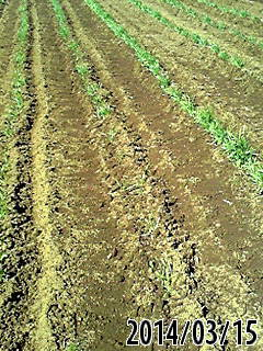 e0270403_08273898.png