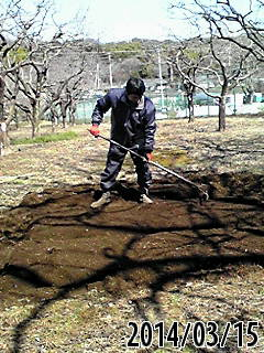 e0270403_08281954.png
