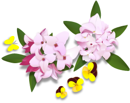 blogボケです。_c0051105_1416386.png