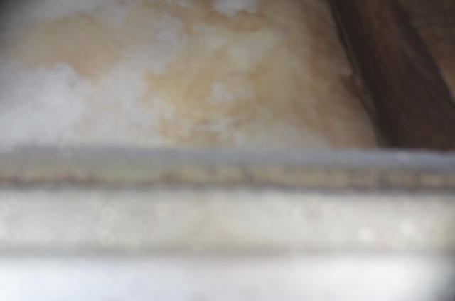 e0149405_17425579.jpg