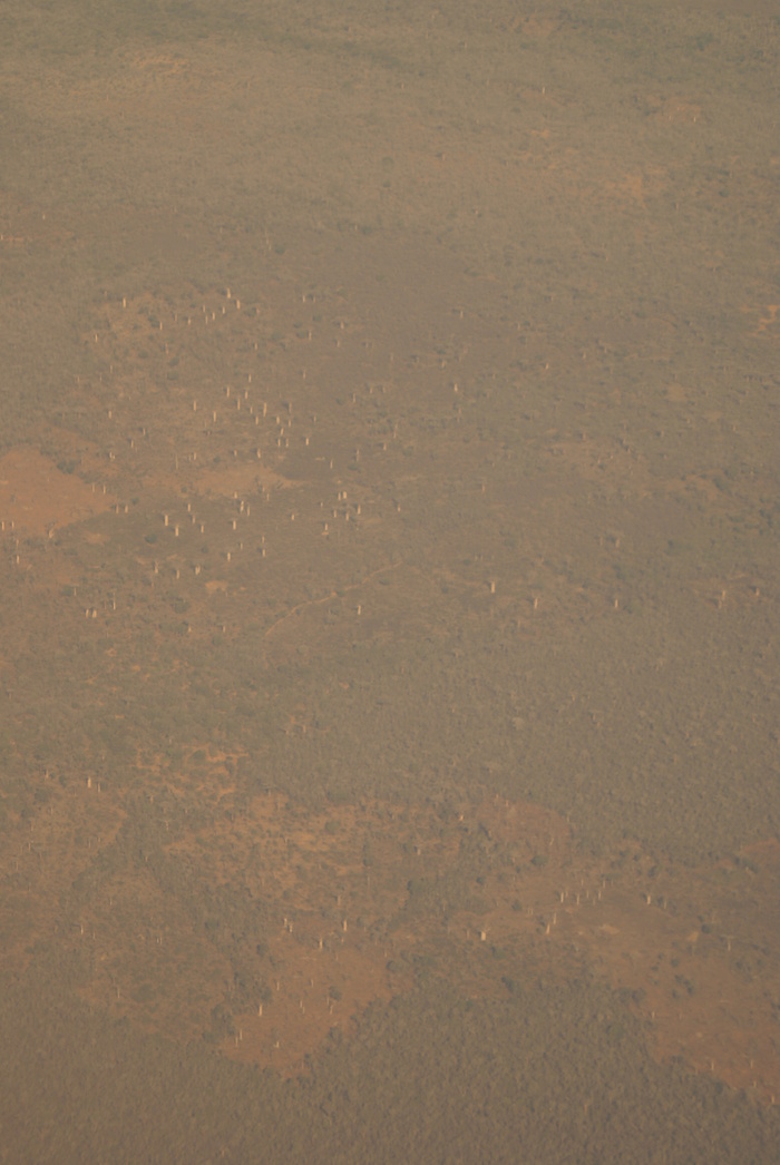 a0162707_075613.jpg