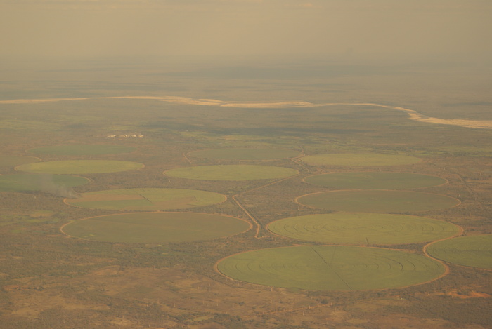 a0162707_082021.jpg