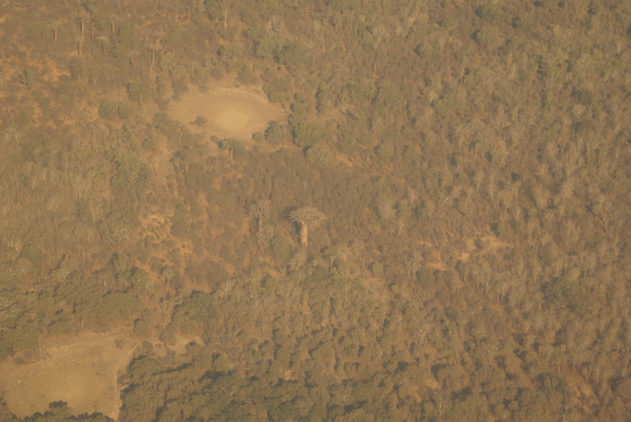a0162707_08822.jpg