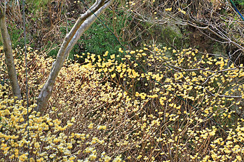 b0014607_1904986.jpg