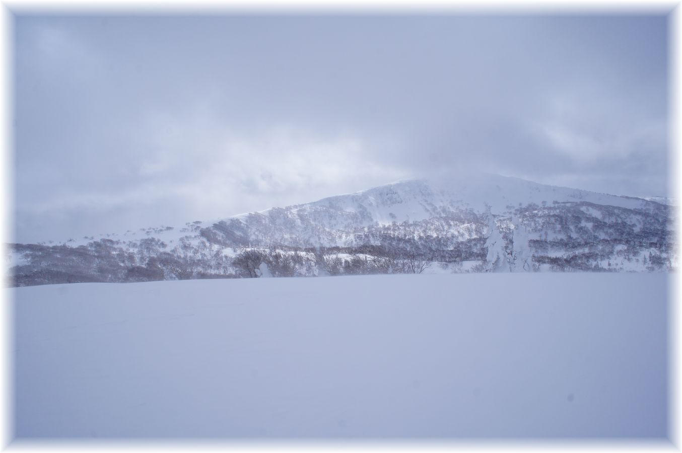 無意根山1464m◆途中撤退！◆2014.3.15_a0248508_21135298.jpg