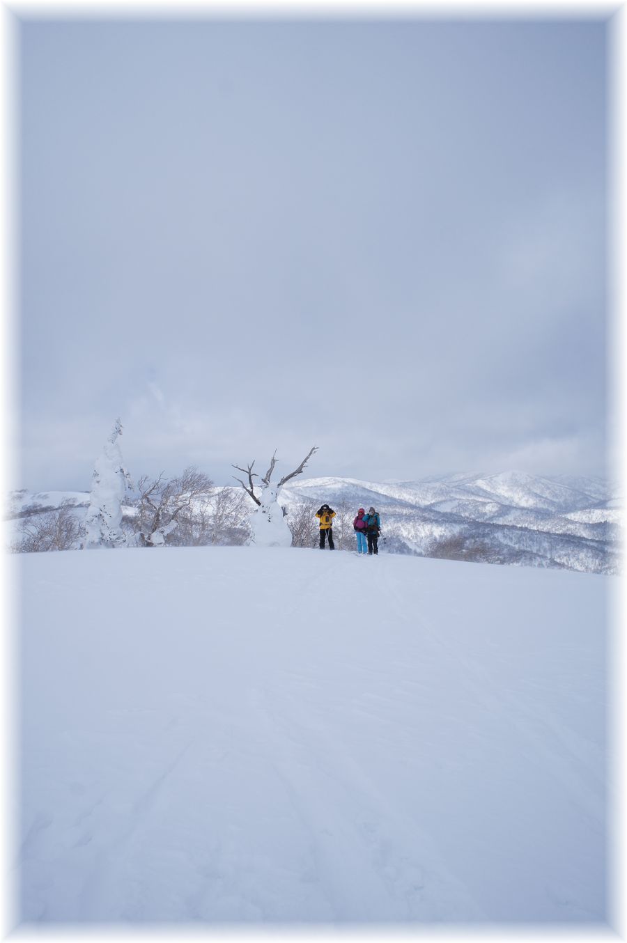 無意根山1464m◆途中撤退！◆2014.3.15_a0248508_2122847.jpg