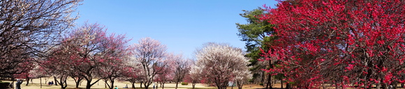 f0302208_20344851.jpg