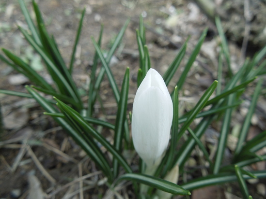 f0297809_0552066.jpg