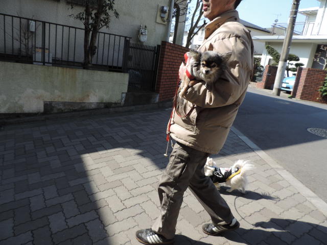 b0312810_16552971.jpg