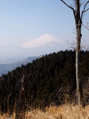 a0258516_19370575.jpg
