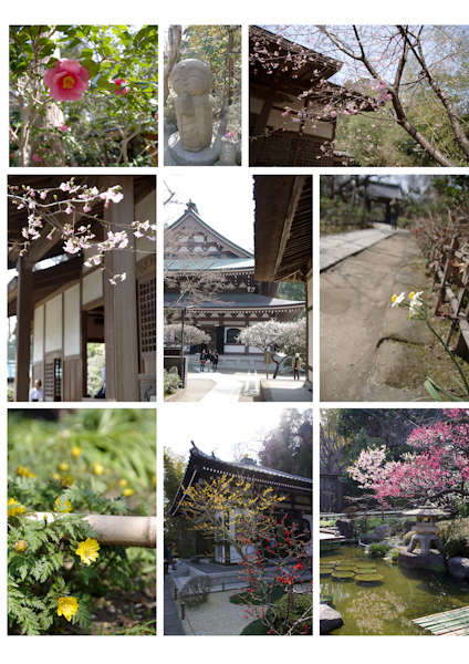 KAMAKURA  /  YOKOHAMA_f0163616_2005292.jpg