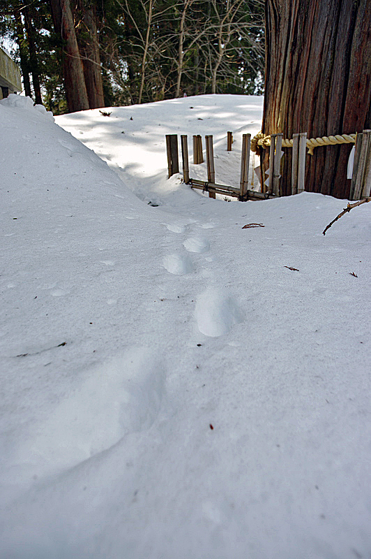 f0113518_21000763.jpg