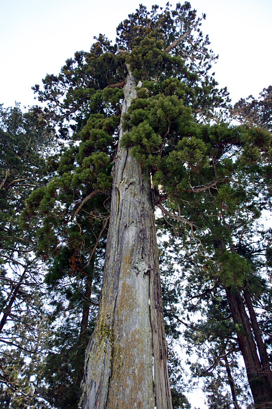 f0113518_21075289.jpg