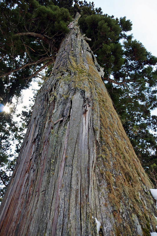 f0113518_21080050.jpg