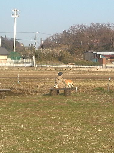 散歩道の収穫　３月１６日_e0108126_20412926.jpg