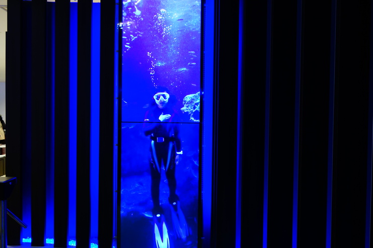 浅草をぶらぶら その23~すみだ水族館 ペンギンもぐもぐタイム_a0287336_12485715.jpg