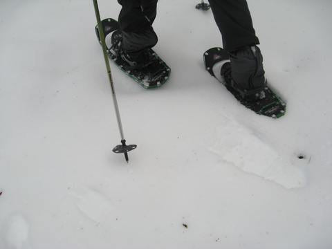 c0090236_20233876.jpg