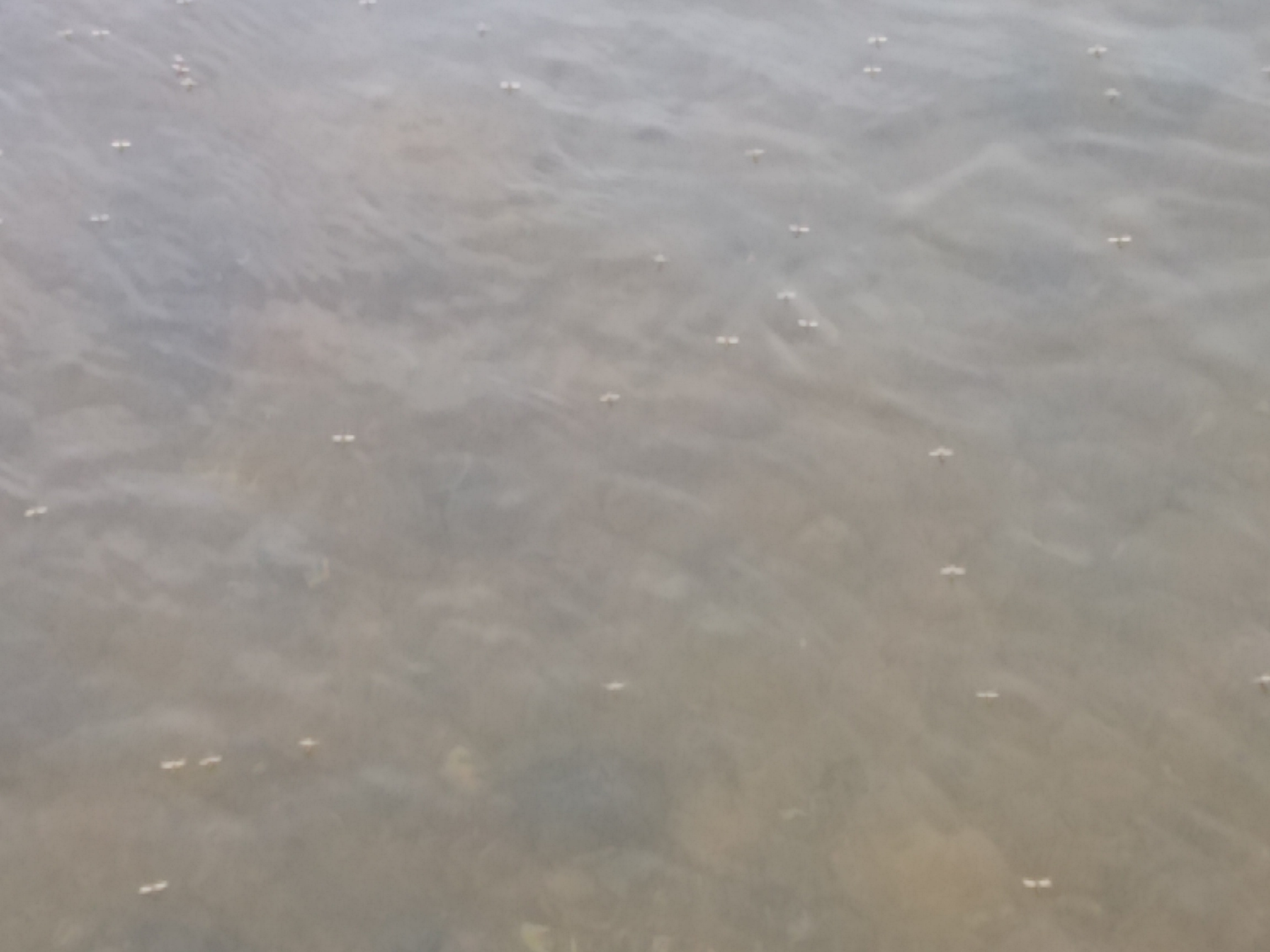 a0280243_19334072.jpg