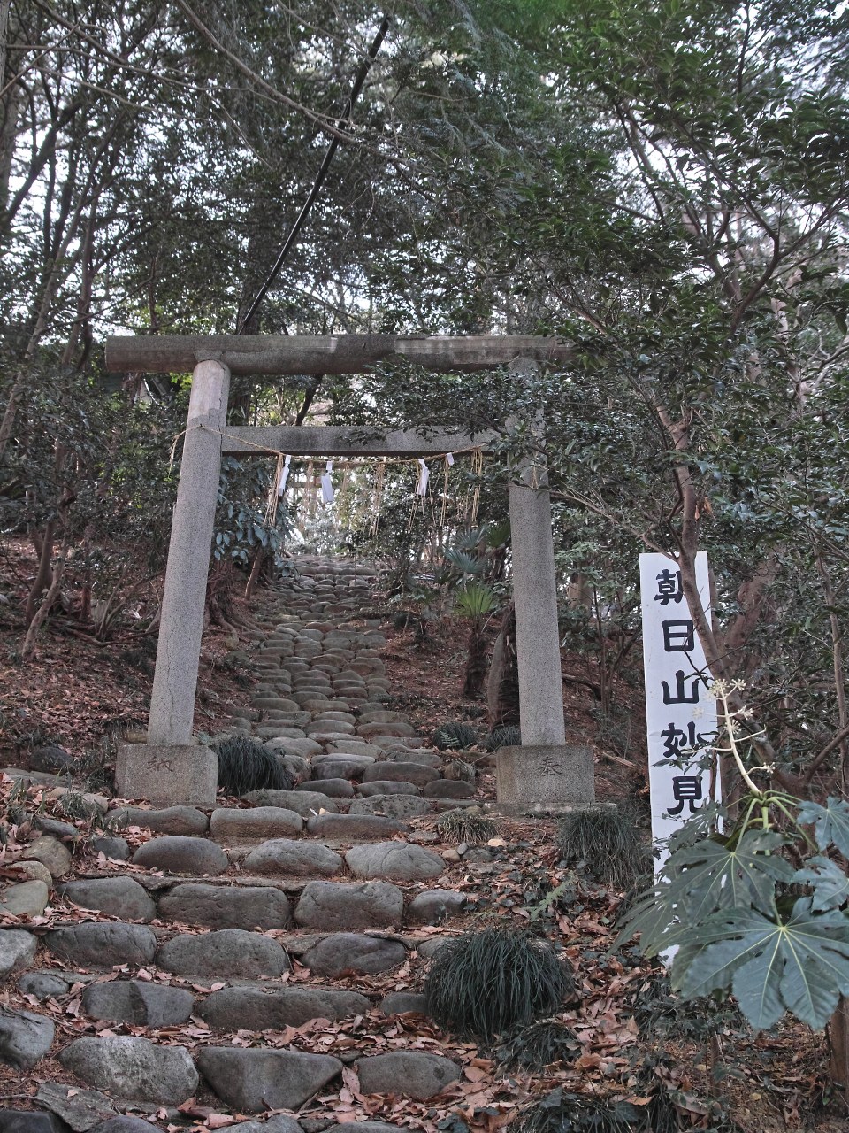 駅から駅までハイキング宮ノ平～福生_c0008948_2159255.jpg