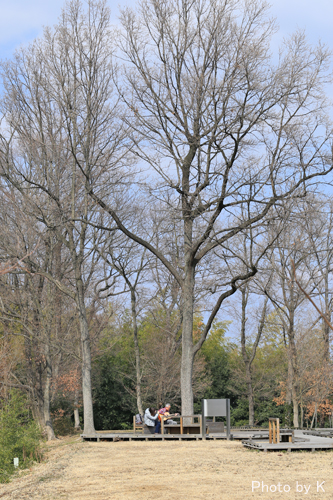 c0127748_10472620.jpg