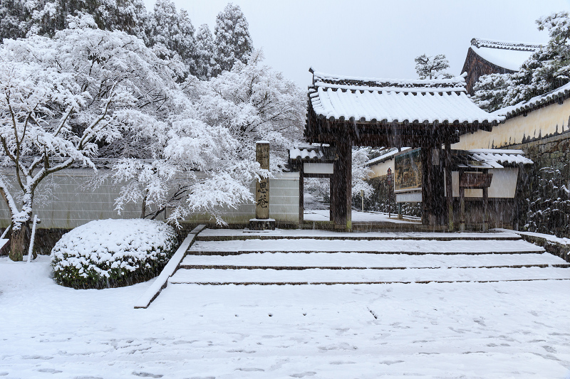 一休寺・雪景色_f0155048_200638.jpg