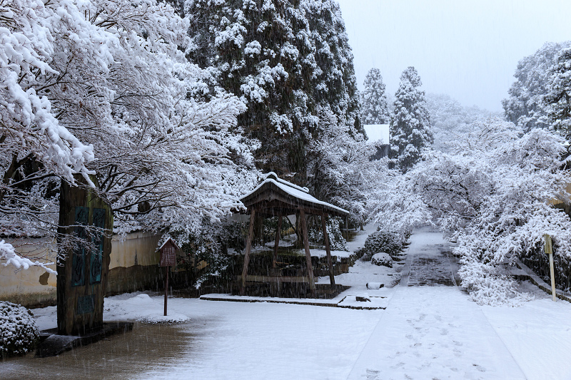 一休寺・雪景色_f0155048_2013095.jpg