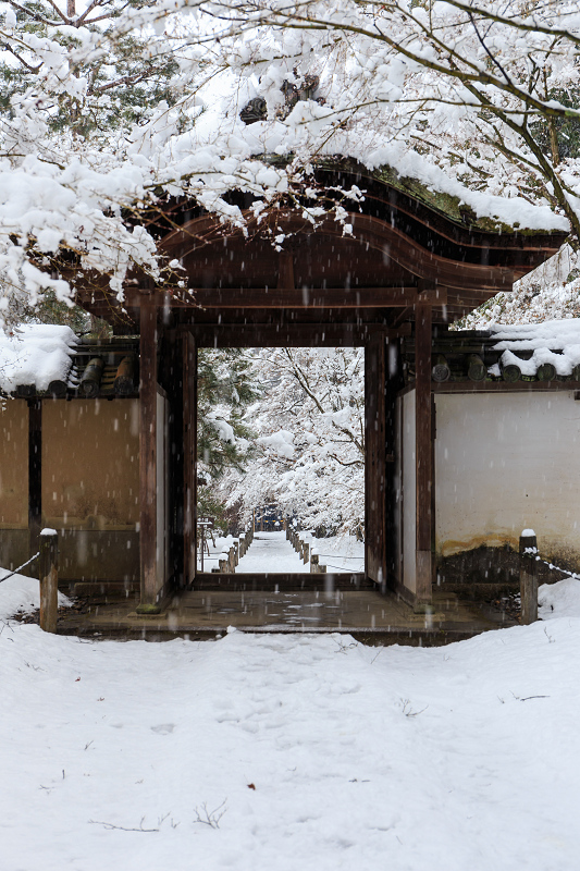 一休寺・雪景色_f0155048_20143449.jpg