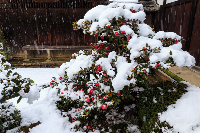 一休寺・雪景色_f0155048_20153474.jpg