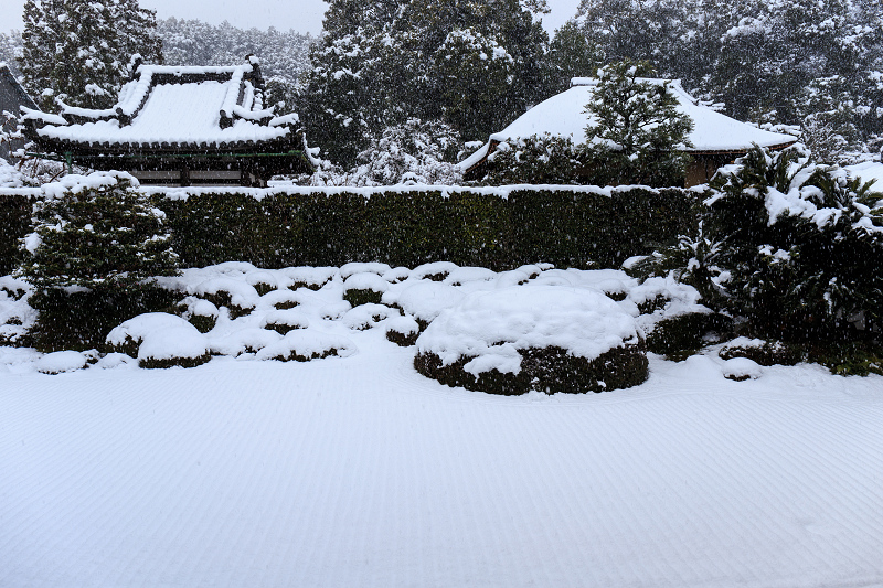 一休寺・雪景色_f0155048_20195721.jpg