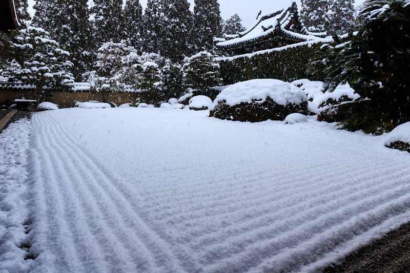 一休寺・雪景色_f0155048_2029174.jpg