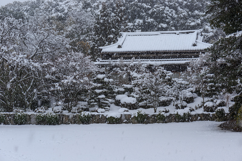 一休寺・雪景色_f0155048_20315266.jpg