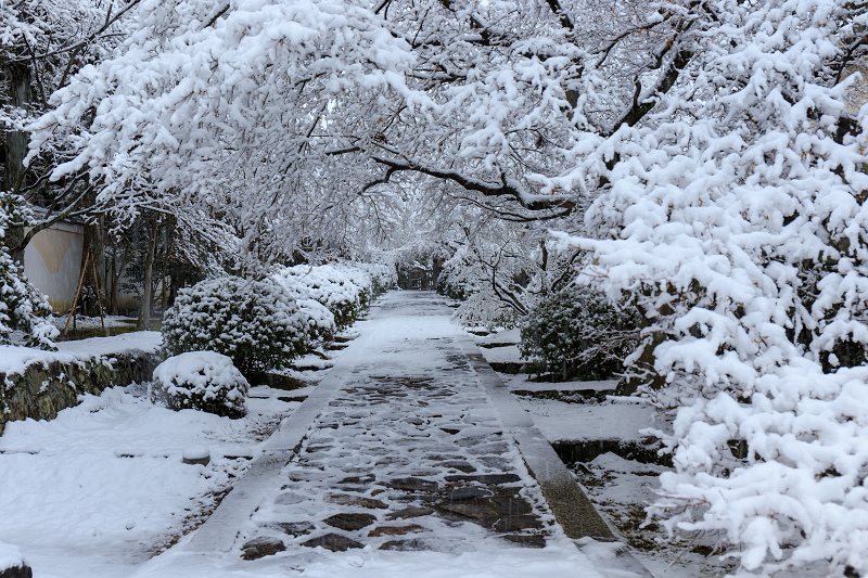 一休寺・雪景色_f0155048_203376.jpg