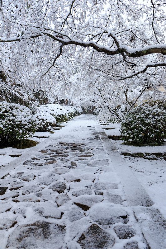 一休寺・雪景色_f0155048_2035494.jpg