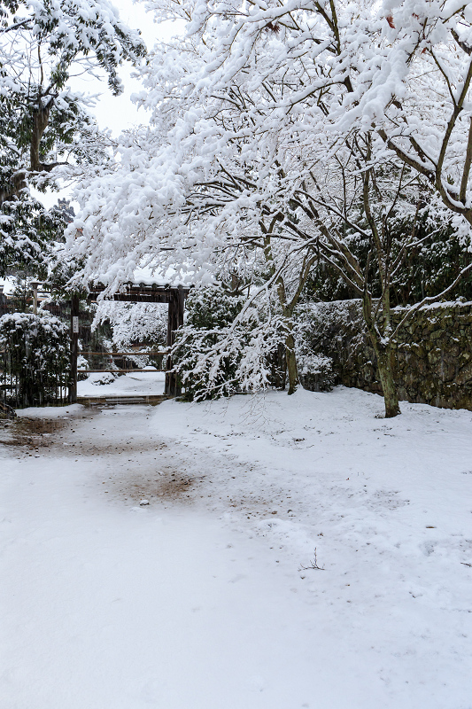 一休寺・雪景色_f0155048_2043659.jpg