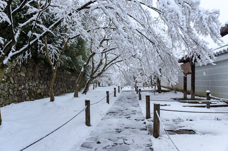 一休寺・雪景色_f0155048_204942.jpg