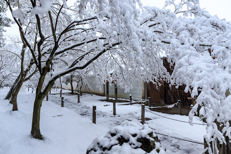 一休寺・雪景色_f0155048_2053985.jpg