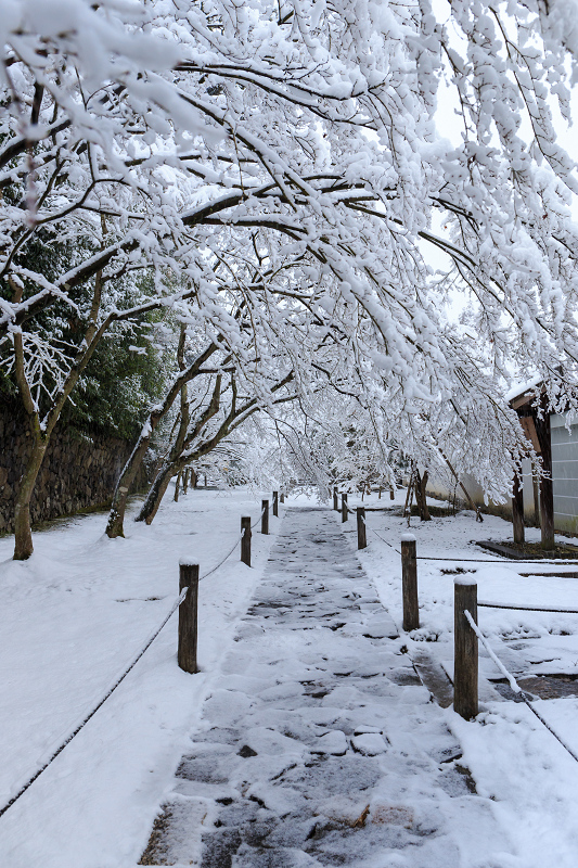 一休寺・雪景色_f0155048_2061573.jpg