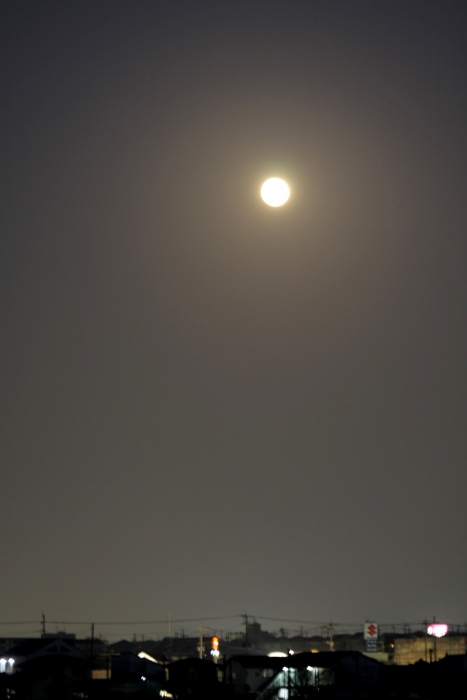 b0248954_20422079.jpg