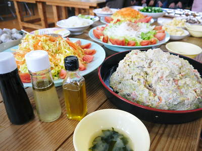「きらり水源村」 無農薬・無化学肥料で育てた菊池水源産「えごま」試食会!!その3_a0254656_1828754.jpg