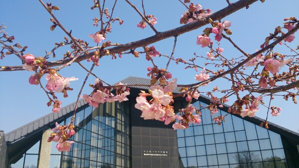 a0208560_2354897.jpg